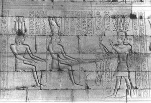 Photo »337« aus dem Edfu-Projekt.