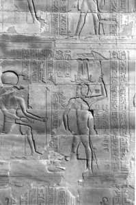 Photo »4098« aus dem Edfu-Projekt.