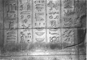 Photo »4148« aus dem Edfu-Projekt.