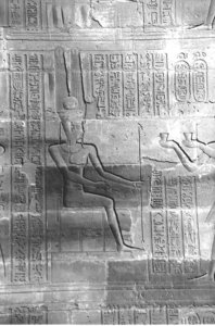 Photo »4208« aus dem Edfu-Projekt.