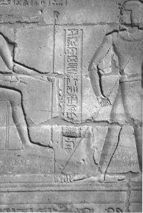 Photo »4413« aus dem Edfu-Projekt.