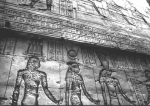 Photo »3626« aus dem Edfu-Projekt.