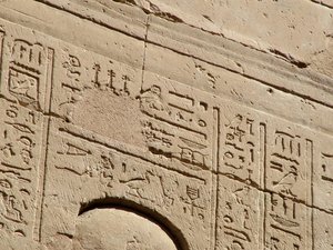 Photo »D05_1660« aus dem Edfu-Projekt.