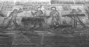 Photo »1405« aus dem Edfu-Projekt.