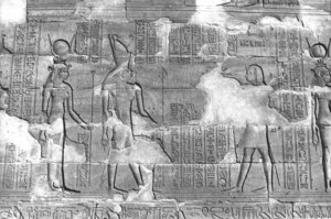 Photo »291« aus dem Edfu-Projekt.