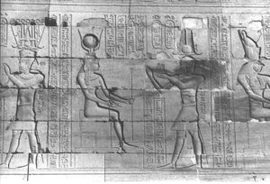 Photo »338« aus dem Edfu-Projekt.