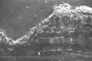 Photo »3880« aus dem Edfu-Projekt.