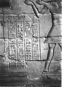 Photo »4005« aus dem Edfu-Projekt.