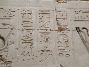 Photo »D05_2654« aus dem Edfu-Projekt.