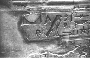 Photo »1184« aus dem Edfu-Projekt.
