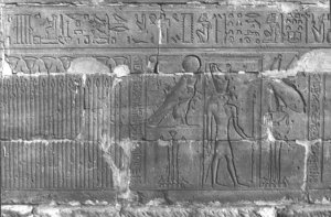 Photo »238« aus dem Edfu-Projekt.