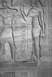 Photo »4344« of the Edfu-Project.