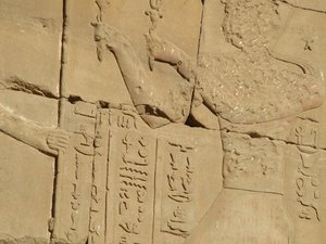 Photo »D05_3819« of the Edfu-Project.