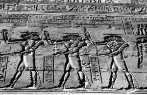 Photo »1191« aus dem Edfu-Projekt.