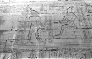 Photo »1430« aus dem Edfu-Projekt.