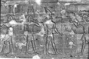 Photo »268« aus dem Edfu-Projekt.