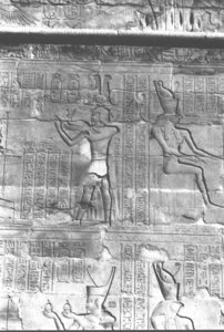 Photo »412« aus dem Edfu-Projekt.