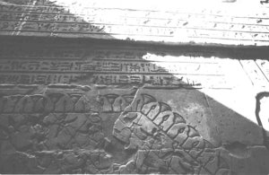 Photo »1285« aus dem Edfu-Projekt.