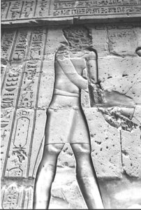 Photo »1324« aus dem Edfu-Projekt.