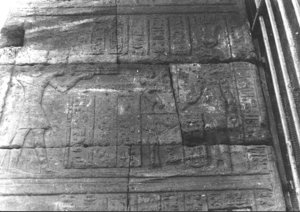 Photo »2727« aus dem Edfu-Projekt.