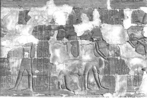 Photo »304« aus dem Edfu-Projekt.