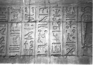 Photo »4159« aus dem Edfu-Projekt.