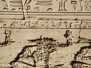 Photo »D05_1095« aus dem Edfu-Projekt.