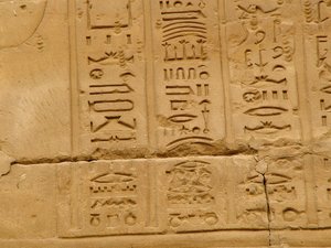 Photo »D05_2052« aus dem Edfu-Projekt.
