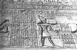 Photo »1132« aus dem Edfu-Projekt.