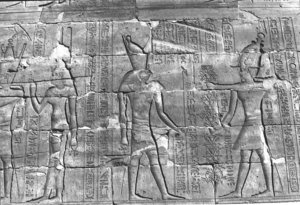 Photo »256« aus dem Edfu-Projekt.