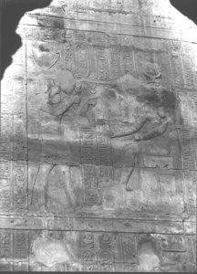 Photo »3495« of the Edfu-Project.