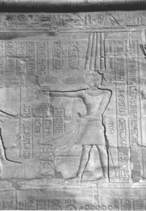 Photo »4373« aus dem Edfu-Projekt.