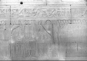 Photo »636« of the Edfu-Project.