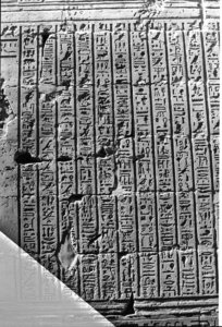 Photo »1364« aus dem Edfu-Projekt.