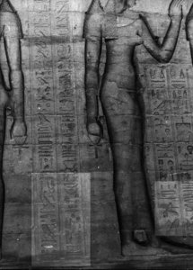 Photo »2916« aus dem Edfu-Projekt.