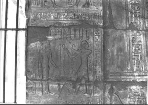 Photo »3167« aus dem Edfu-Projekt.