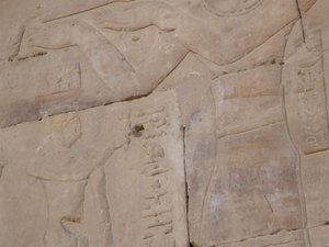 Photo »D05_4503« of the Edfu-Project.