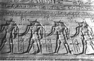 Photo »1130« aus dem Edfu-Projekt.