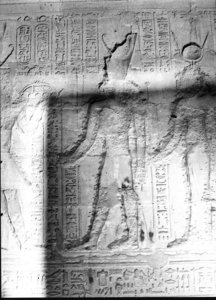 Photo »2202« aus dem Edfu-Projekt.