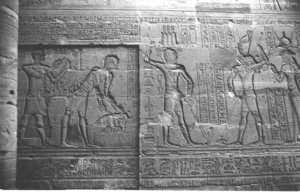 Photo »1167« aus dem Edfu-Projekt.