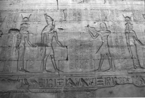 Photo »1491« aus dem Edfu-Projekt.