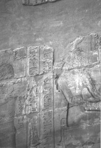 Photo »4220« aus dem Edfu-Projekt.