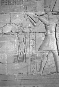 Photo »4354« of the Edfu-Project.
