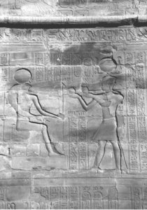 Photo »4386« aus dem Edfu-Projekt.