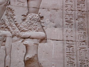 Photo »D03_0410« aus dem Edfu-Projekt.