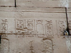 Photo »D05_3483« aus dem Edfu-Projekt.
