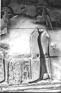 Photo »1309« aus dem Edfu-Projekt.