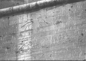 Photo »2485« of the Edfu-Project.