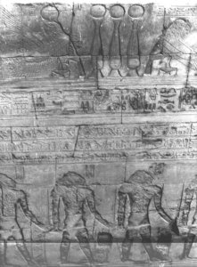 Photo »3071« aus dem Edfu-Projekt.