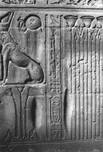 Photo »3914« of the Edfu-Project.